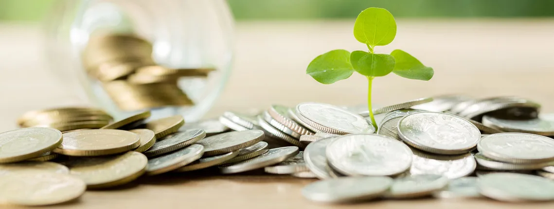 investeerder-zoeken-startup