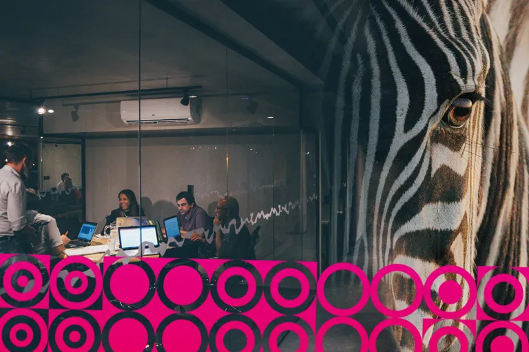 zebra startup